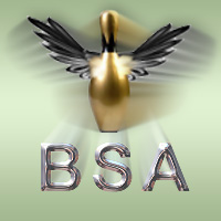 BSA Bowling Score Tracking & Analysis